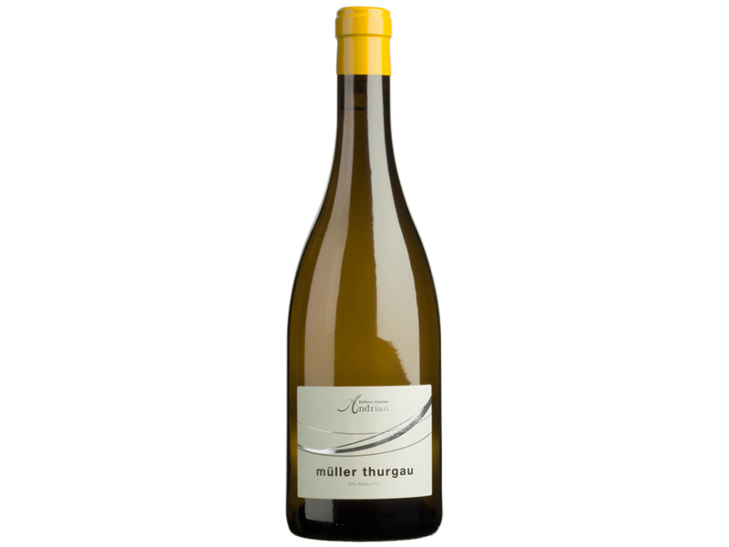 Muller thurgau